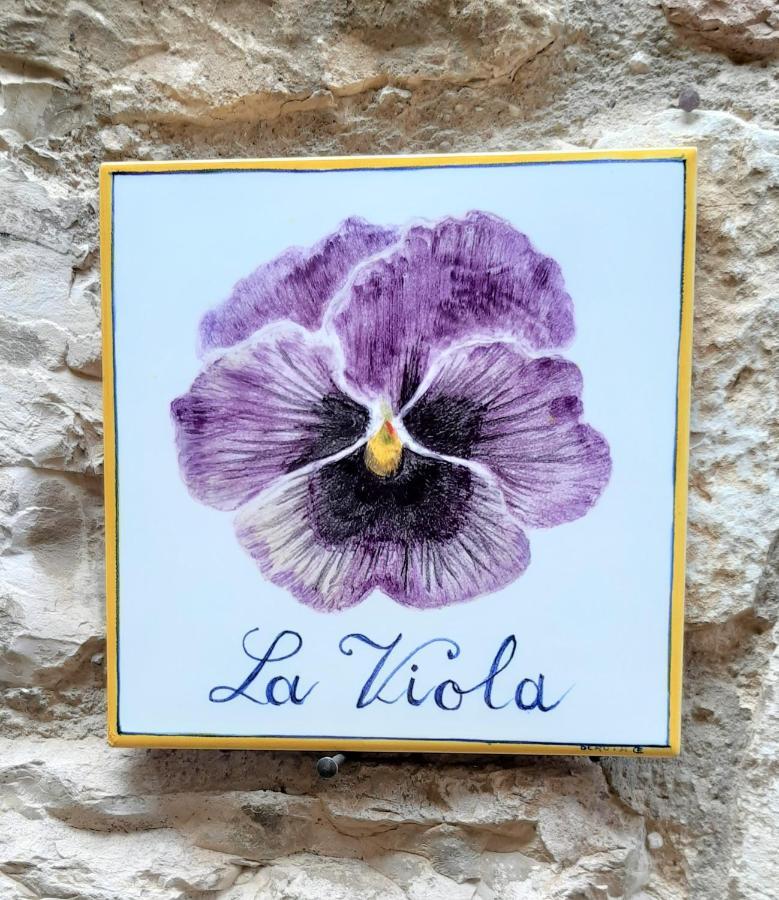 Hotel La Viola Di Assisi Exterior foto