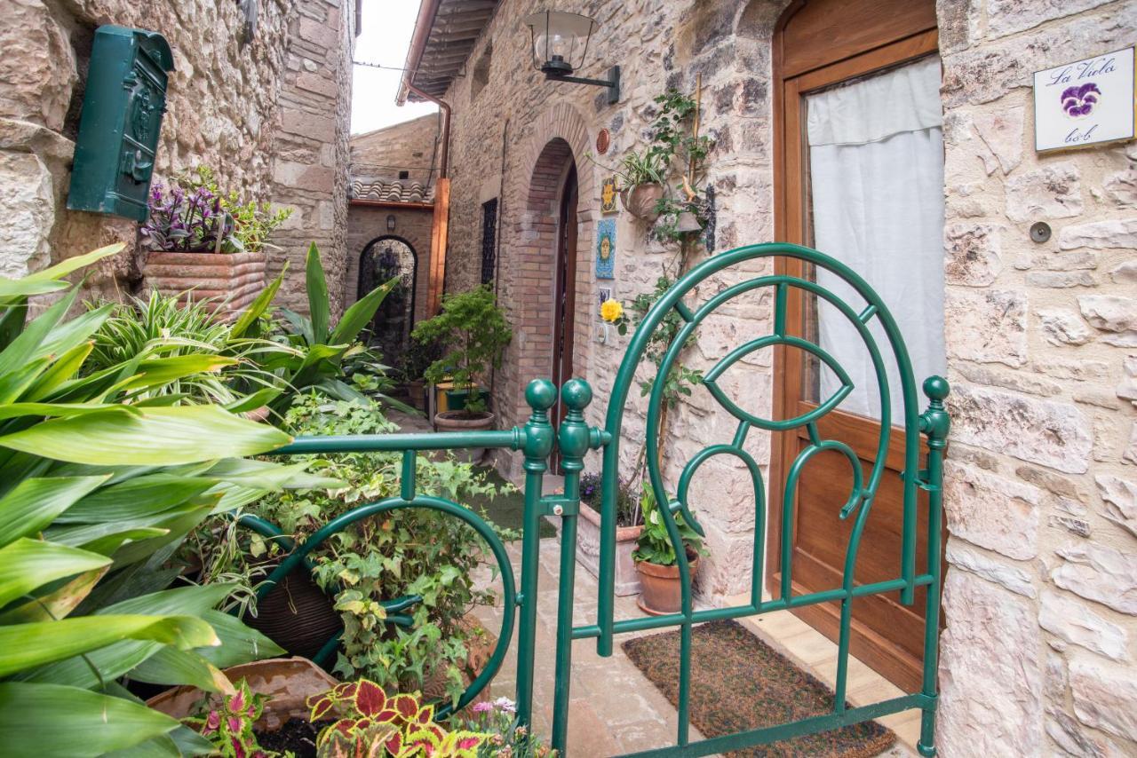 Hotel La Viola Di Assisi Exterior foto